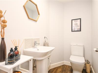Picture 15